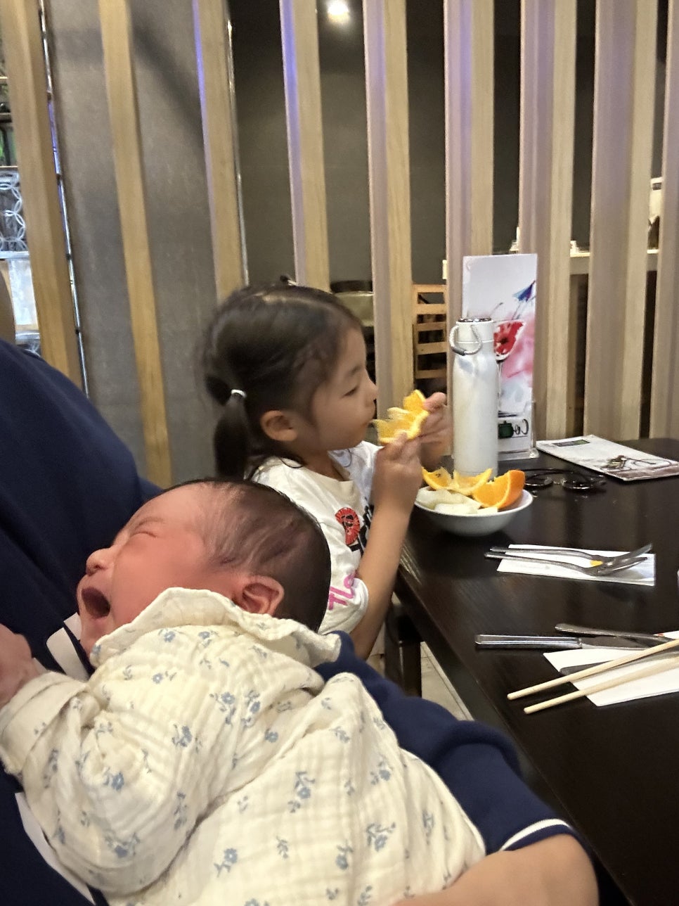 4월 영국 챔스포드 일상 - Writtle 피크닉, 둘째 탄생, 영국에서 아기 출산