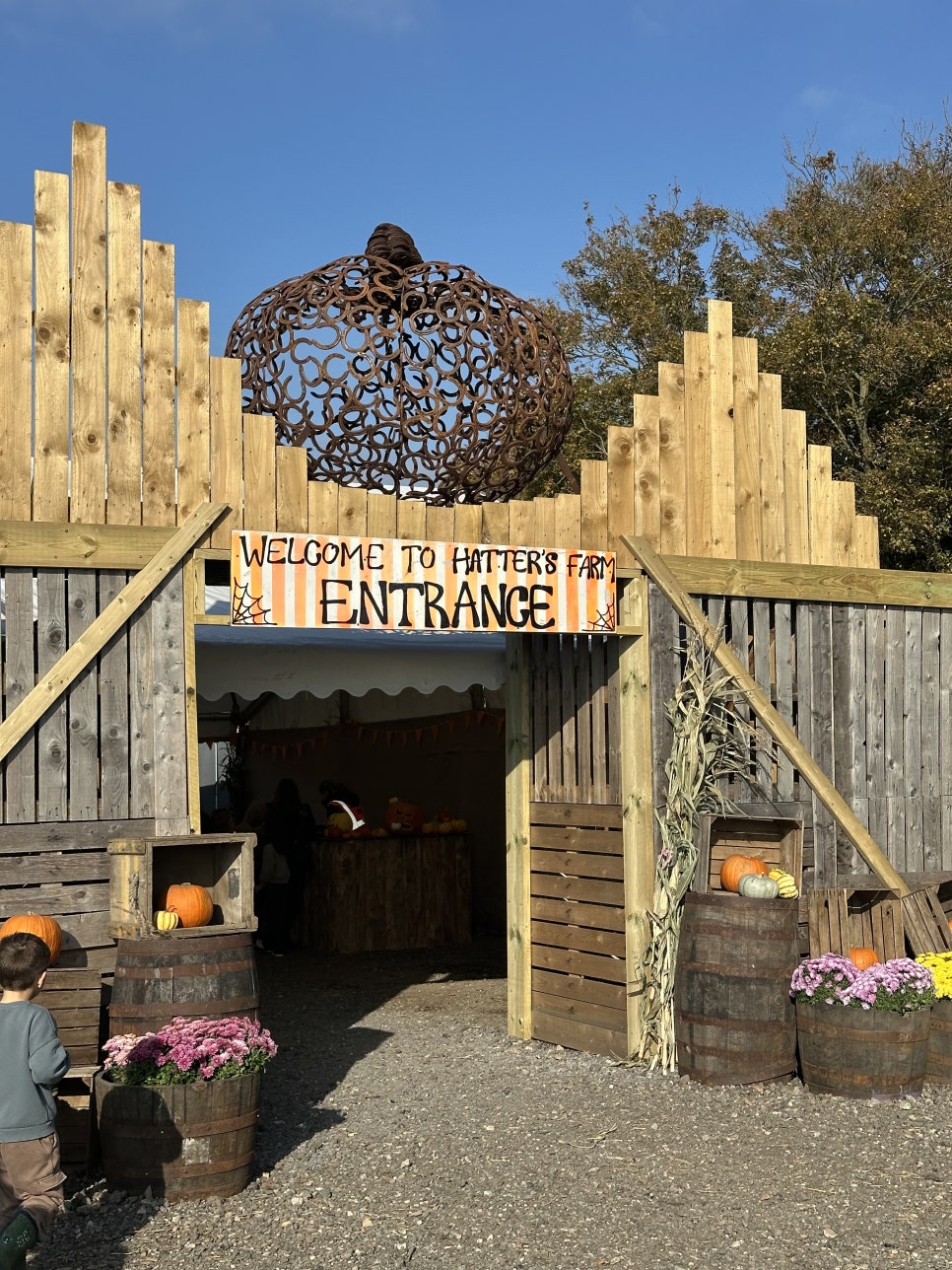 영국 일상 기록 22 - 할로윈에 진심인 영국 (Hatter's Farm, Halloween at Kew)