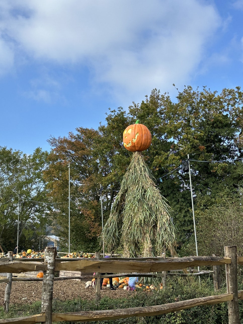영국 일상 기록 22 - 할로윈에 진심인 영국 (Hatter's Farm, Halloween at Kew)