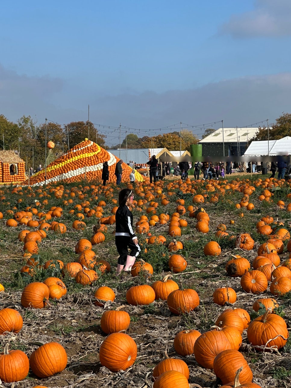 영국 일상 기록 22 - 할로윈에 진심인 영국 (Hatter's Farm, Halloween at Kew)