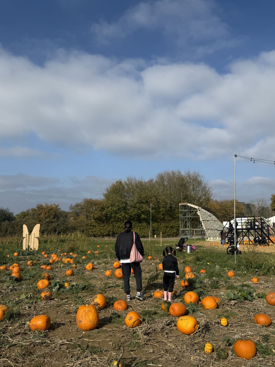 영국 일상 기록 22 - 할로윈에 진심인 영국 (Hatter's Farm, Halloween at Kew)