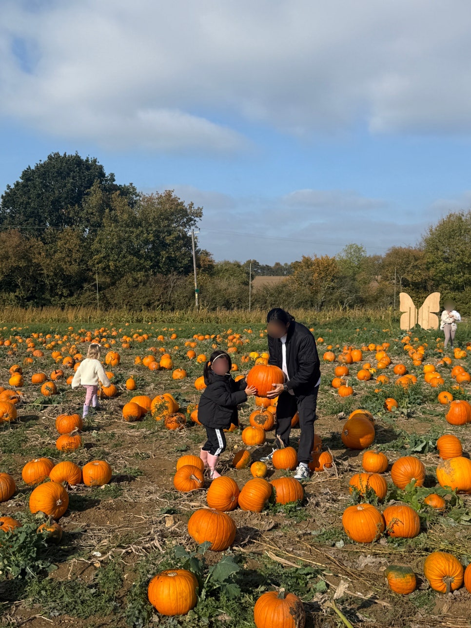 영국 일상 기록 22 - 할로윈에 진심인 영국 (Hatter's Farm, Halloween at Kew)