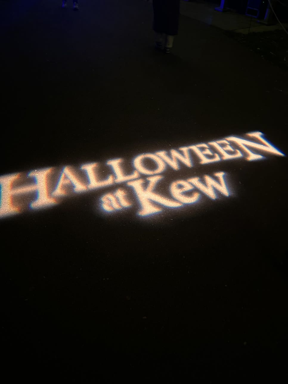 영국 일상 기록 22 - 할로윈에 진심인 영국 (Hatter's Farm, Halloween at Kew)