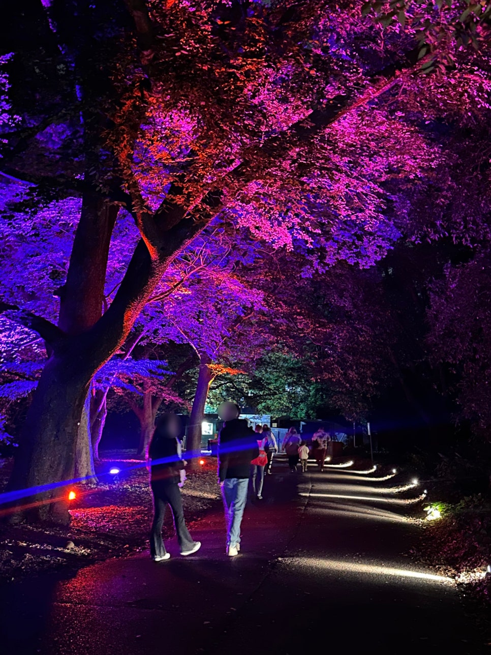 영국 일상 기록 22 - 할로윈에 진심인 영국 (Hatter's Farm, Halloween at Kew)