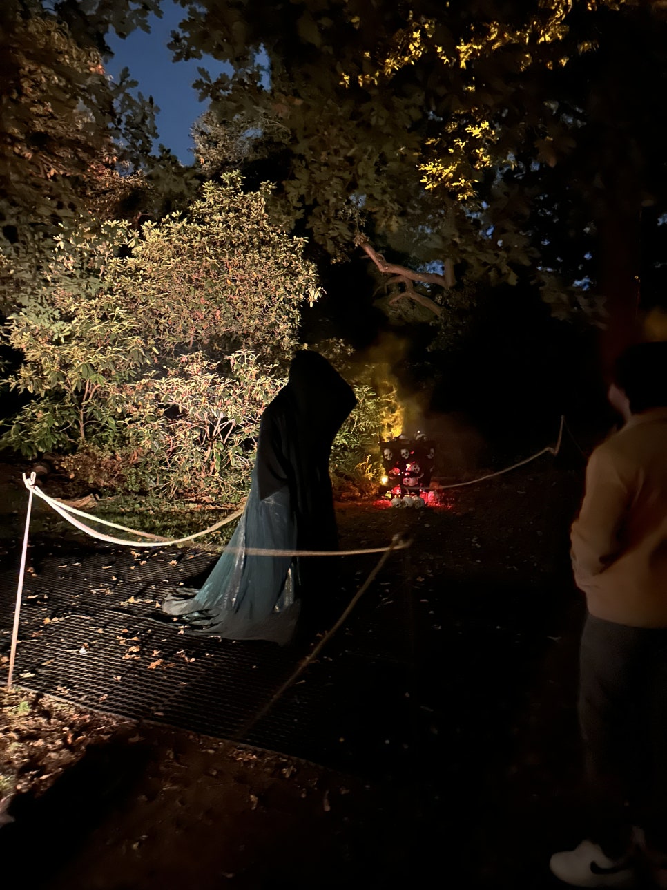 영국 일상 기록 22 - 할로윈에 진심인 영국 (Hatter's Farm, Halloween at Kew)
