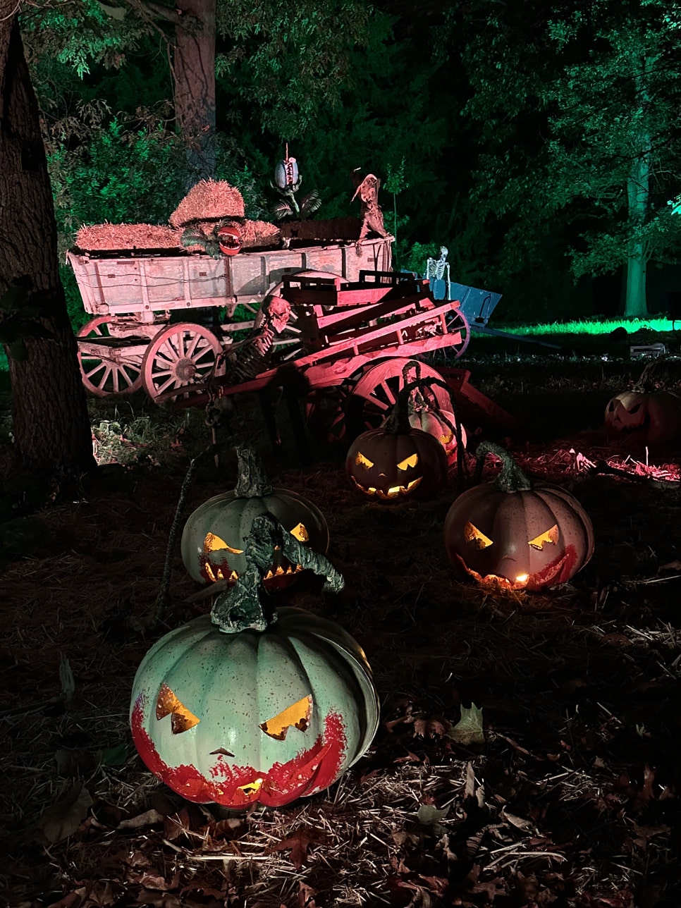 영국 일상 기록 22 - 할로윈에 진심인 영국 (Hatter's Farm, Halloween at Kew)