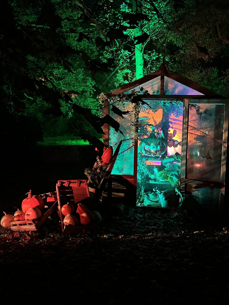 영국 일상 기록 22 - 할로윈에 진심인 영국 (Hatter's Farm, Halloween at Kew)