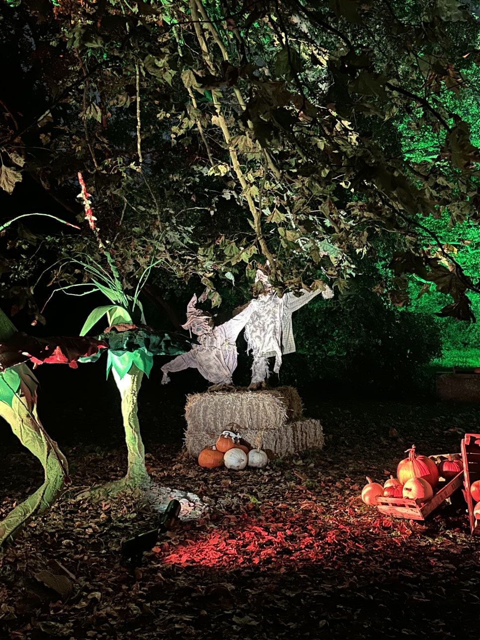 영국 일상 기록 22 - 할로윈에 진심인 영국 (Hatter's Farm, Halloween at Kew)