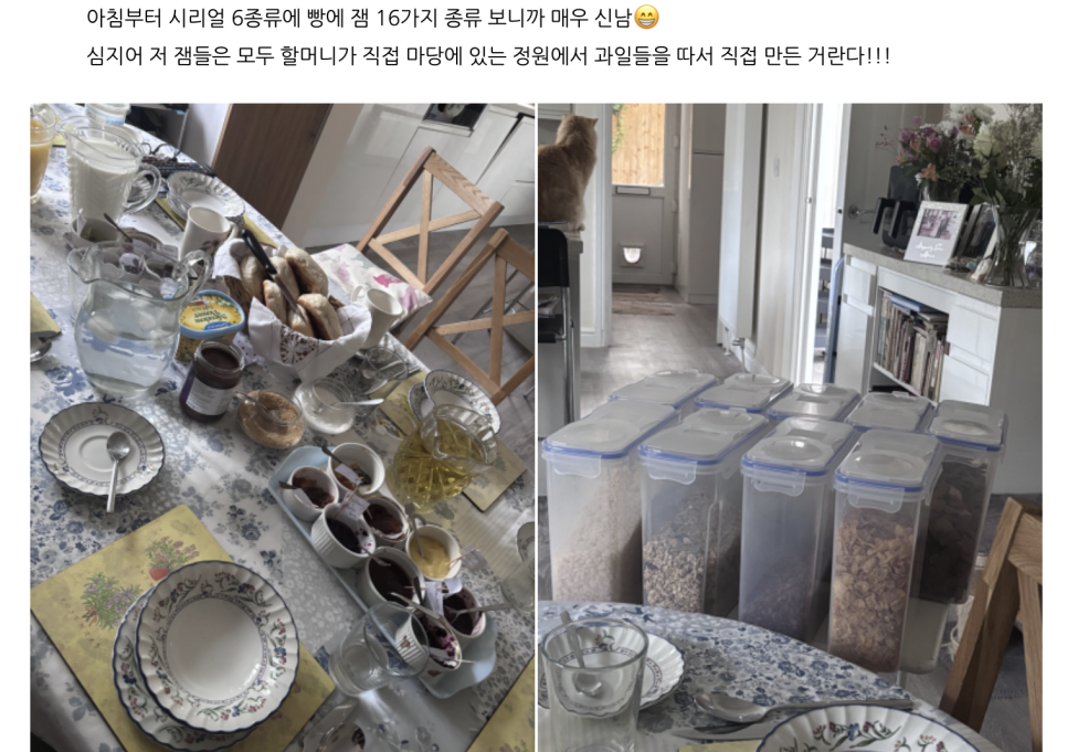 영국 캠브리지 어학연수 찐 후기! - 한인비율 3% 미만 CLS 어학원 (ft. 케임브릿지유학원 상담 후기)