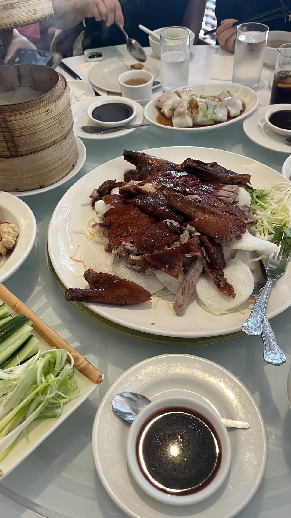 영국 어학연수 최** 학생의 ELC 브라이튼 후기!