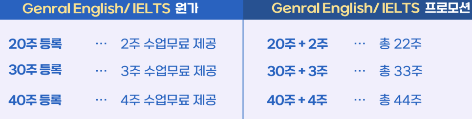 본머스 어학연수 - ETC 어학원 실제 방문 후기