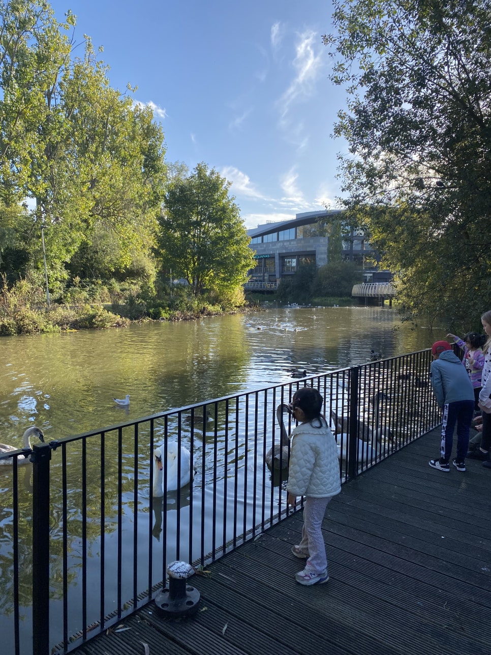 영국 일상 기록 9 (챔스포드 일상, Chelmsford Science Festival / Out of this world)