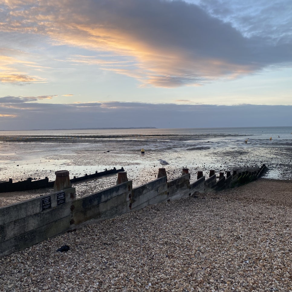 영국 일상 기록 6 (캔터베리 여행, whitstable)