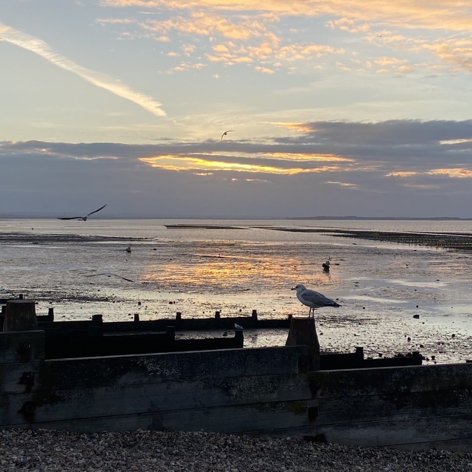 영국 일상 기록 6 (캔터베리 여행, whitstable)